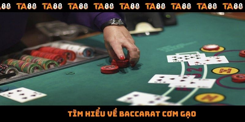 Baccarat Cơm Gạo - Tham Gia Giải Trí Với Trận Đấu Kịch Tính